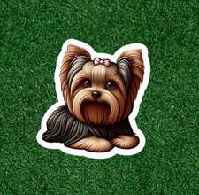 Cute Yorkshire Terrier yorkie