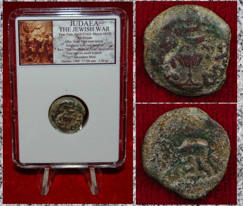Moneta antica giudea guerra - moneta,