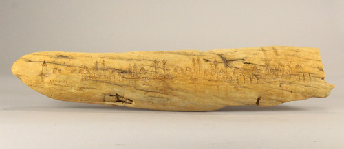 Scrimshaw firmato anna - scrimshaw,