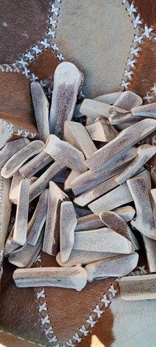Corna cervo aperte - di, aperte,snack