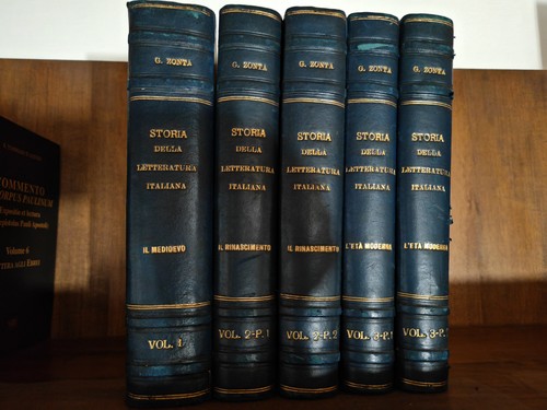 Storia della letterature