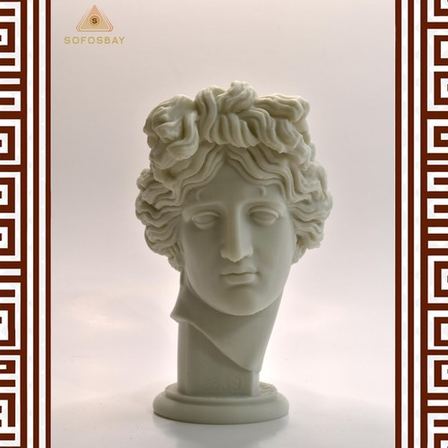 Apollo giustiniani head - head,