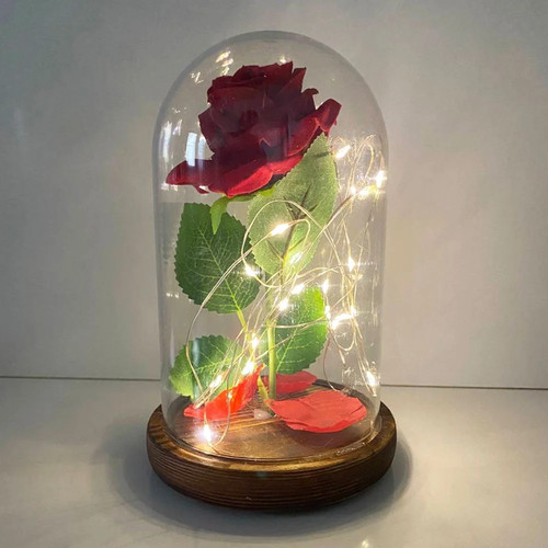 Rosa eterna incantata bella - rosa,