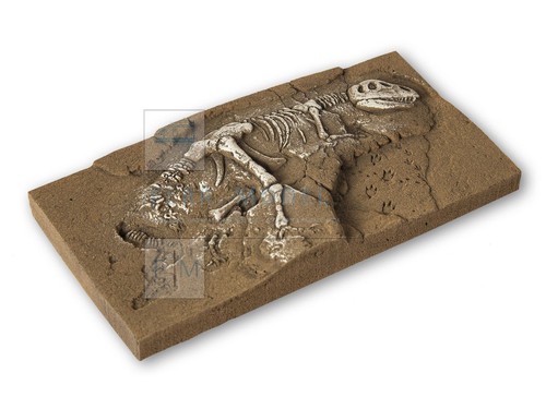 Noch 58614 scavi dinosauro - noch,