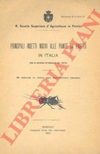 Principali insetti nocivi alle