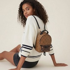LOUIS VUITTON Palm Spring Mini