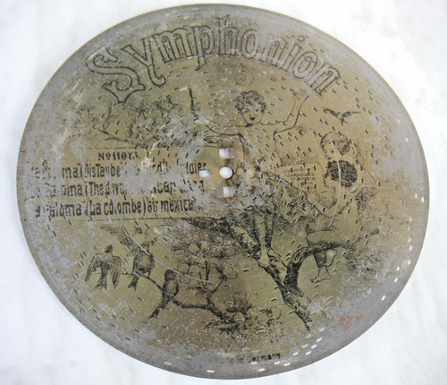 Die taube lapaloma - taube,