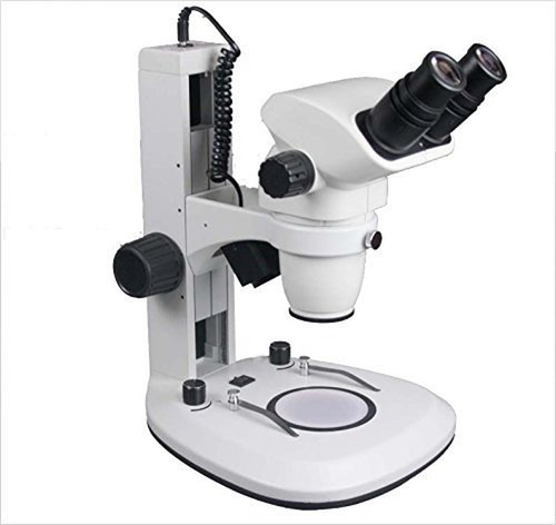 Microscopio stereo