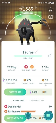Shiny paldean tauros blaze - shiny,