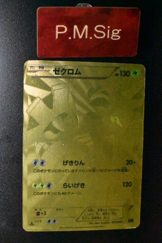 Zekrom 095 093 battle - ex,
