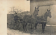 Uomo IN Antico Carrozza Con