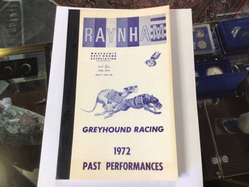 Raynham dog track greyhound - dog,
