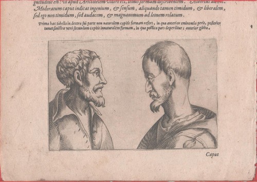Prima aec tabella dextra - prima,