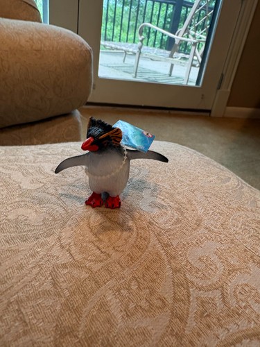 Pinguino rockhopper safari ltd - rockhopper,