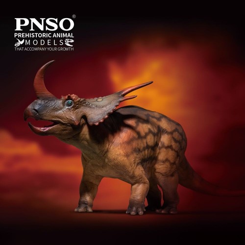 Pnso 2025 stella the - 2025,