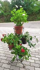 Porta Vasi - Porta piante In Ferro Battuto Ad Alberello o Angolare - Colore Nero