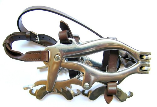 Gag bocca cavallo - bocca,