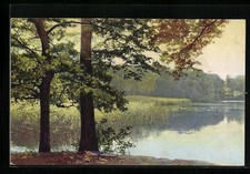 Cartolina Artistica Fotocromia Serie 335, n.4946: Idillio in riva al lago 