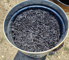 Biochar Amendamento Suolo