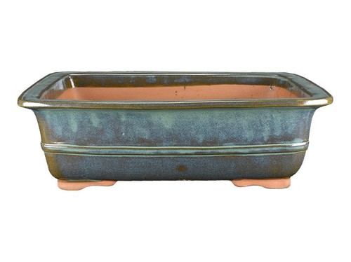 Vaso per bonsai - , rettangolare
