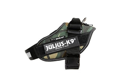 Julius k9 - (tg., /