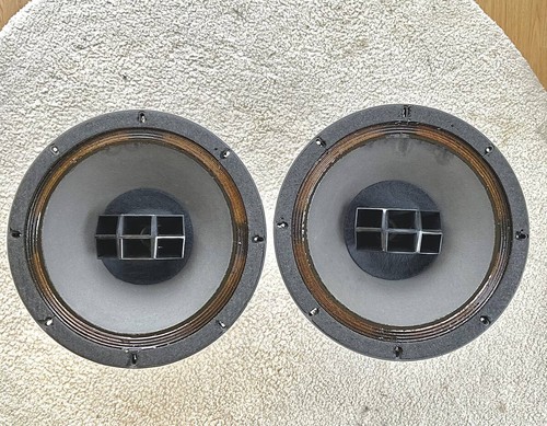 Coppia altoparlanti duplex - altoparlanti,