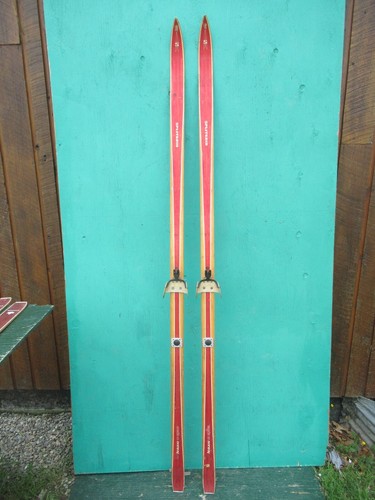 Bellissimi vecchi sci neve - vecchi,