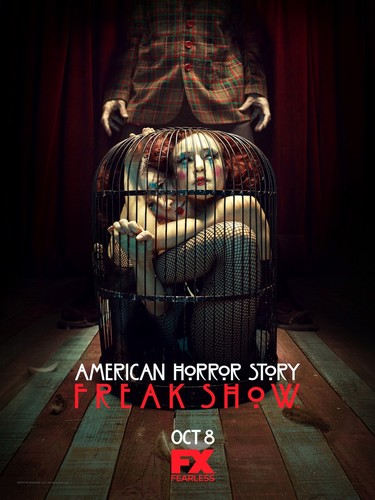 American horror story poster - american,