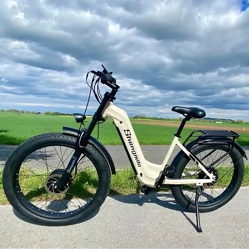 Bicicletta elettrica donna