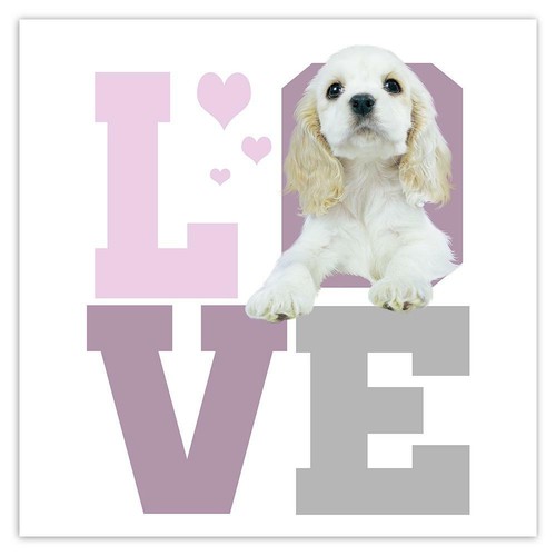 Adesivo regalo love - love, cocker
