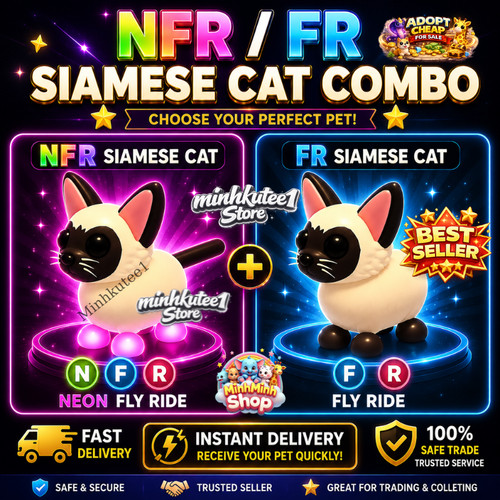 Gatto siamese nfr fr - 🐱,