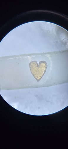 Micro scultura cuore su - micro,