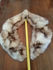 Collo di volpe argentata