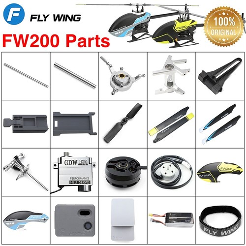 Fly wing fw200 - wing, rc
