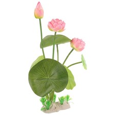  Piante Acquario Decorazioni