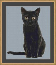 Kit punti croce gatto nero