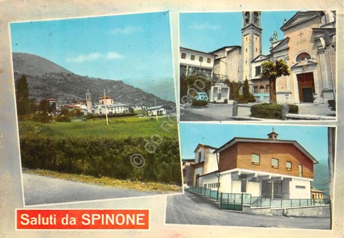 Cartolina spinone lago - cartolina,
