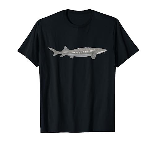 Storione bianco pesca - storione, da