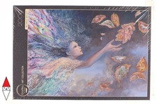 CATCHING WISHES JOSEPHINE WALL