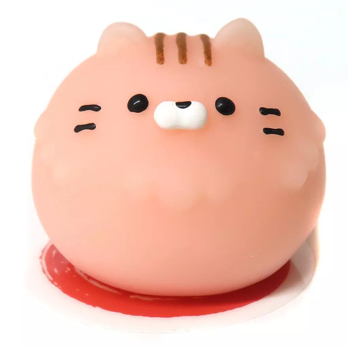 Squeeze exotic shorthair - squeeze,