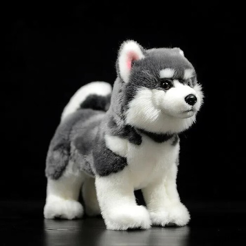 Peluche malamute alaskan - peluche, 28