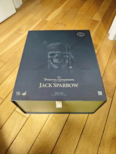 Hot toys dx06 pirates the - toys,