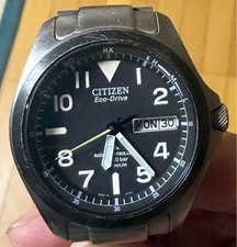Radio Citizen Promaster LAND