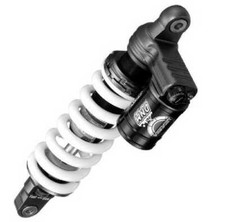 Mono Ammortizzatore posteriore