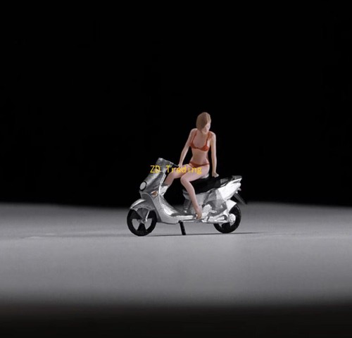 Painted figure model - zd,