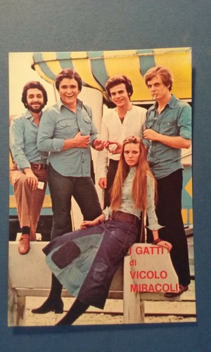 Gatti vicolo miracoli - di,