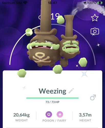 Shiny galarian weezing pokemon - shiny,