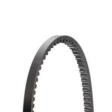 Cinghia trapezoidale BX  dentata tutte le misure