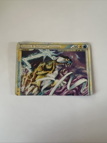 Pokemon raikou suicune - raikou, e