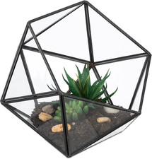 Terrario Piante, Mini Serra